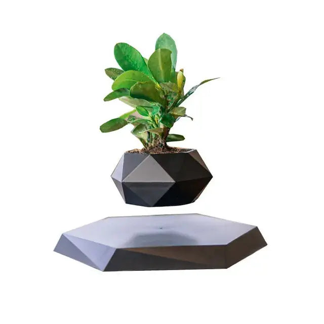 Maceta Flotante con Planta para Decoración de Escritorio