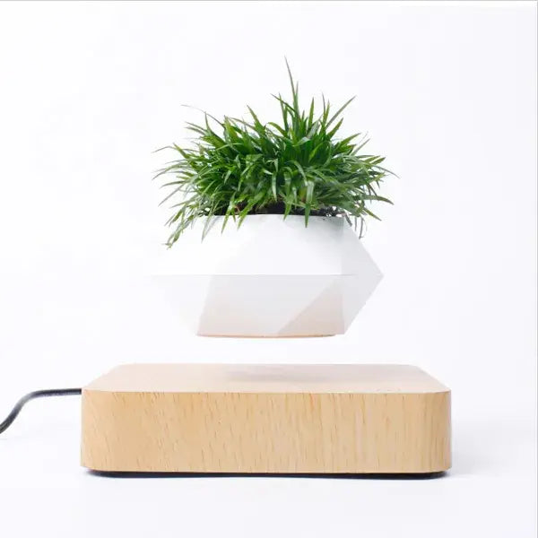 Maceta Flotante con Planta para Decoración de Escritorio