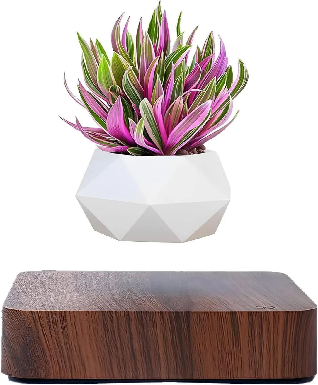 LeviFlora Floating Pot