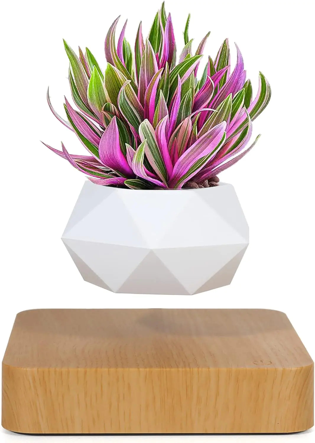 LeviFlora Floating Pot