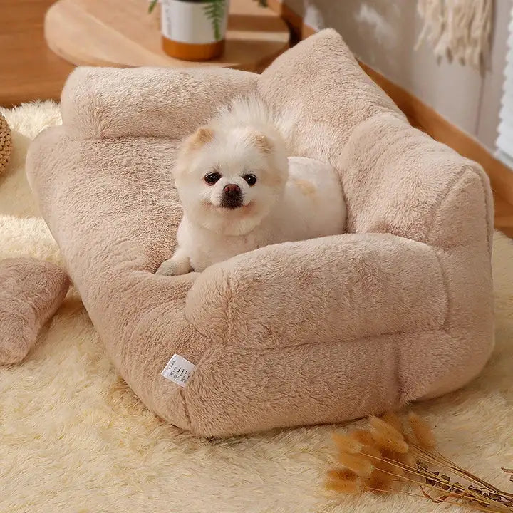 Exclusive sofa for pets