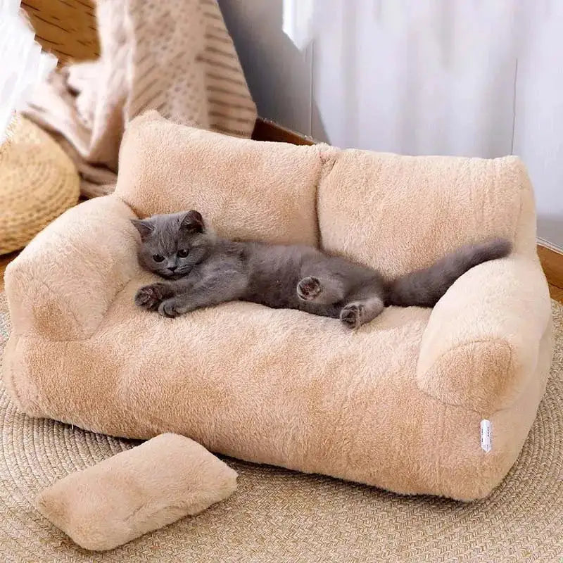 Exclusive sofa for pets