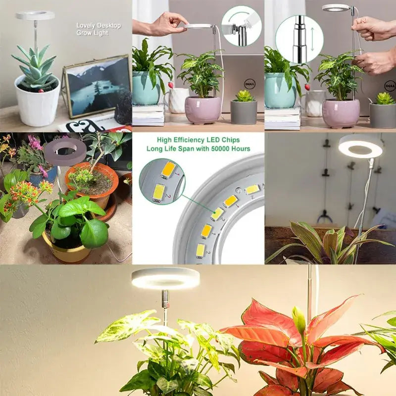 Indoor Full Spectrum Solar Grow Light