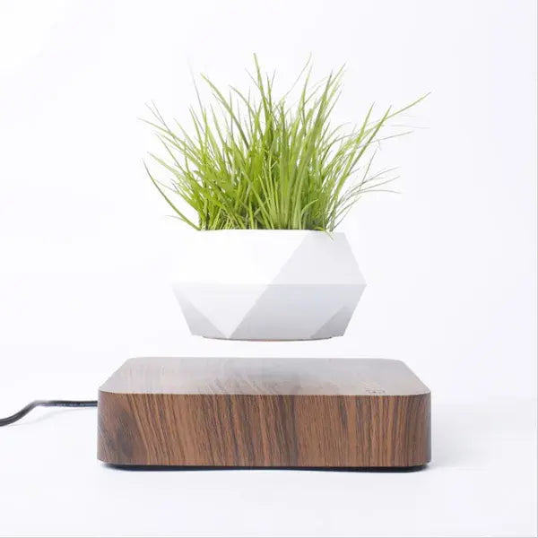 Maceta Flotante con Planta para Decoración de Escritorio