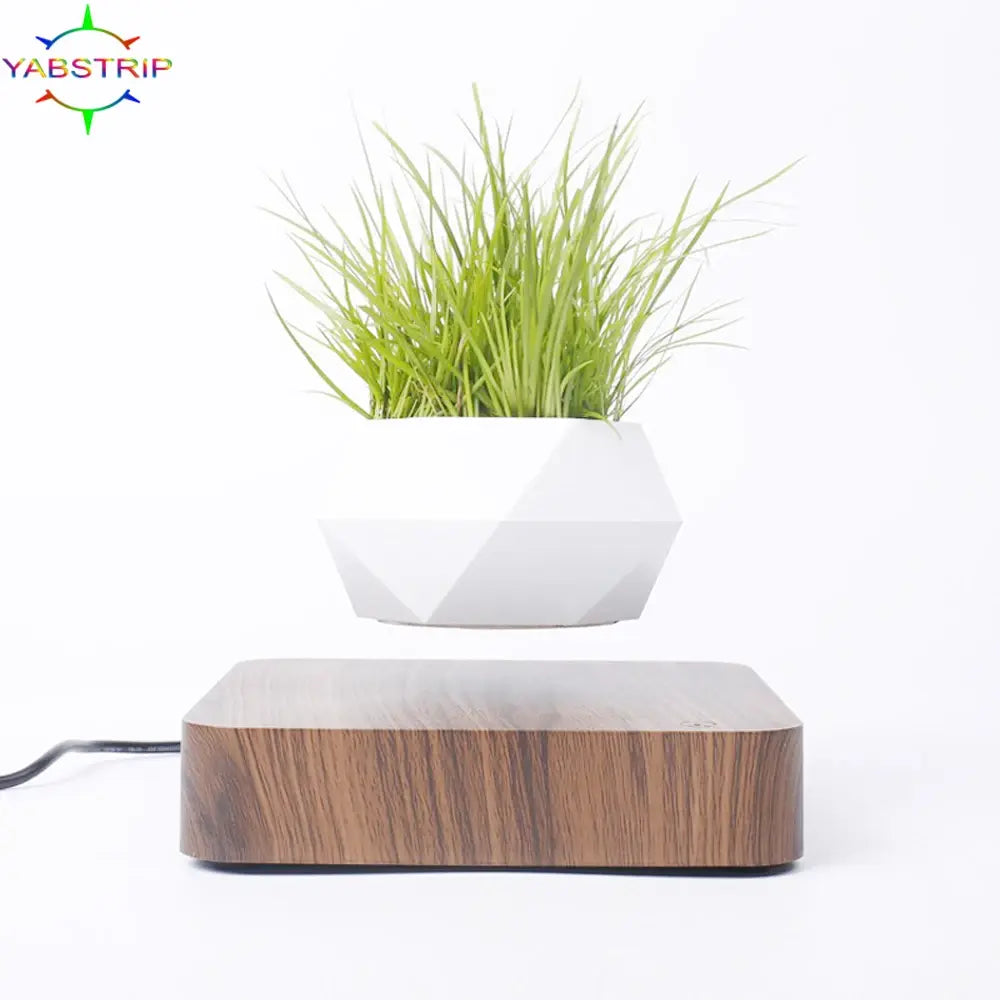 Maceta Flotante con Planta para Decoración de Escritorio